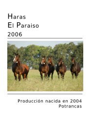 Carreras de las Estrellas - Haras El Paraíso