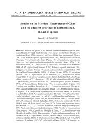 Studies on the Miridae (Heteroptera) of Gilan and the adjacent ...