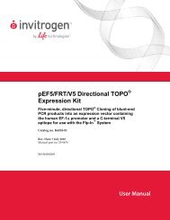pEF5/FRT/V5 Directional TOPO® Expression Kit - Invitrogen
