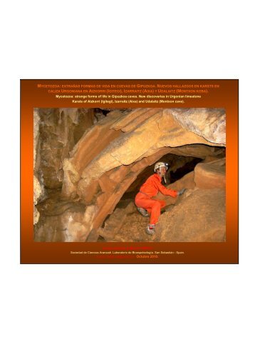 Mycetozoa: Extrañas formas de vida en cuevas - Aranzadi