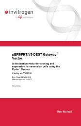 Gateway Cloning vectors (pentr pdonr pdest) - Invitrogen