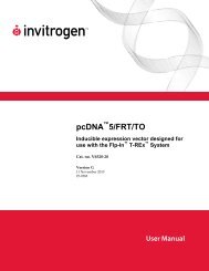 pcDNA 5/FRT/TO - Invitrogen