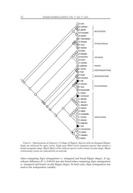 Comparative anatomy and evolution of the odontocete forelimb