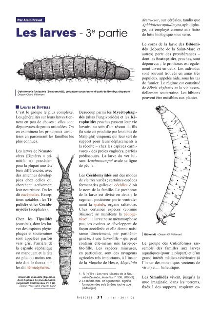 Les larves III / Insectes n° 161