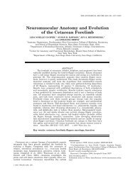 Neuromuscular Anatomy and Evolution of the Cetacean Forelimb