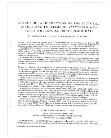 structure and function of the pectoral girdle and forelimb of ...