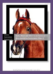 How, What and Why to do things with your American Saddlebred ...