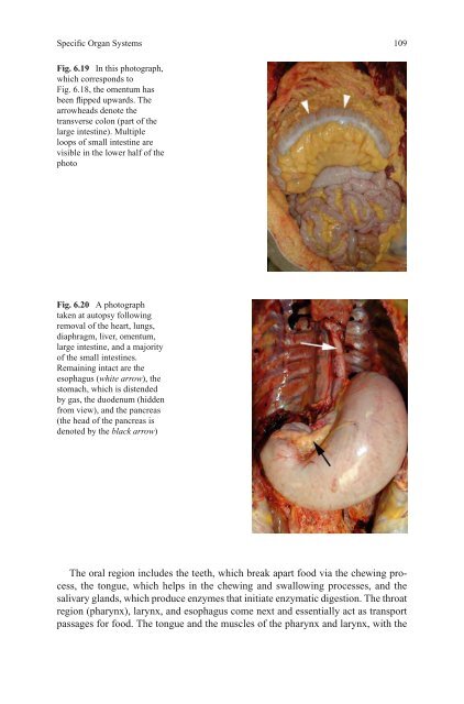 Forensic Pathology for Police - Brainshare Public Online Library