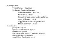 Classification 1: Palaeognathae and Galloanserae.pdf - Biology