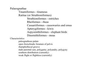 Classification 1: Palaeognathae and Galloanserae.pdf - Biology