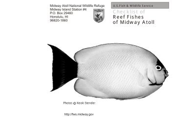 Checklist of Reef Fishes of Midway Atoll - U.S. Fish and Wildlife ...