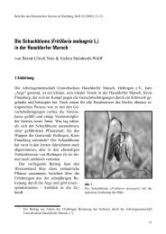 Die Schachblume (Fritillaria meleagris L.) in der ... - Elbmarschenhaus