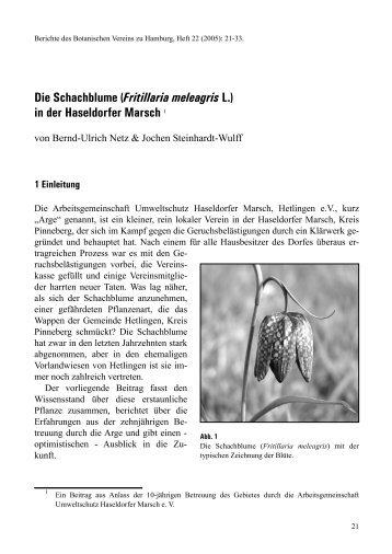 Die Schachblume (Fritillaria meleagris L.) in der ... - Elbmarschenhaus