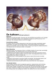 De kalkoen(Meleagris gallopavo) Algemeen ... - Buurtweiden