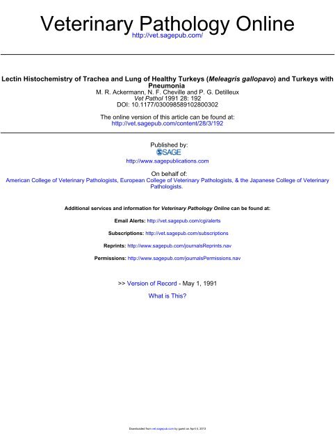 Lectin Histochemistry of Trachea and Lung of Healthy Turkeys ...