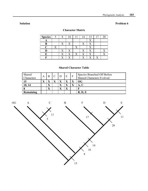 An Introduction to Phylogenetic Analysis - Association for Biology ...