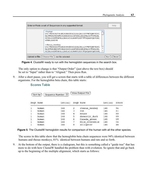 An Introduction to Phylogenetic Analysis - Association for Biology ...