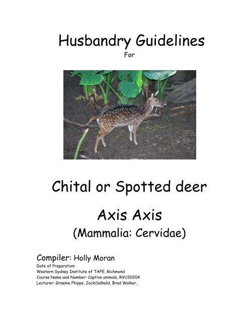 Husbandry Guidelines Chital or Spotted deer Axis Axis 