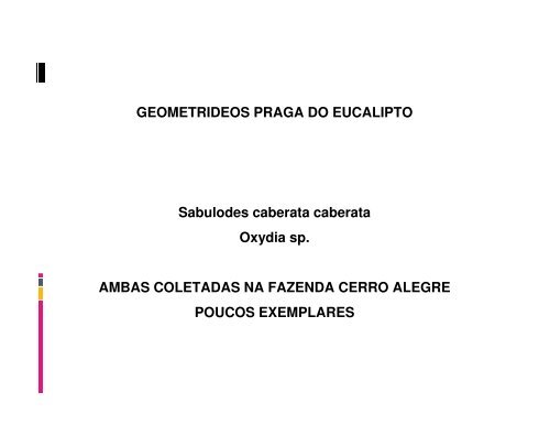 Monitoramento de insetos em florestas de eucalipto na região ... - Ipef