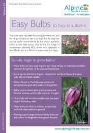 Easy Bulbs to buy in autumn - Alpine Garden Society