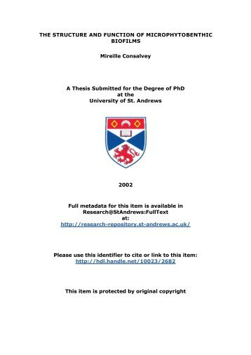 Mireille Consalvey PhD Thesis - University of St Andrews