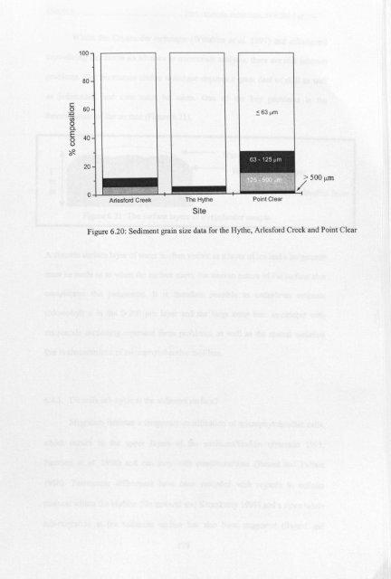 Mireille Consalvey PhD Thesis - University of St Andrews