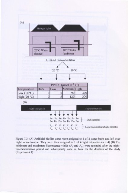 Mireille Consalvey PhD Thesis - University of St Andrews