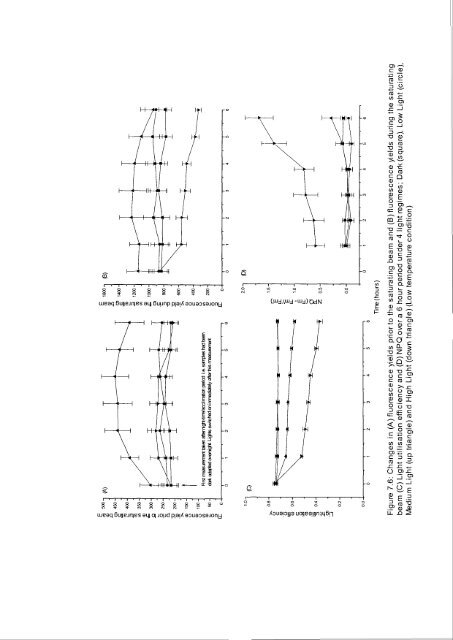 Mireille Consalvey PhD Thesis - University of St Andrews