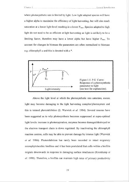 Mireille Consalvey PhD Thesis - University of St Andrews