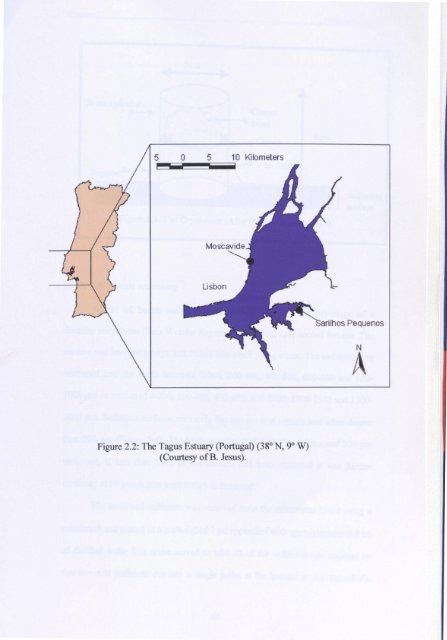 Mireille Consalvey PhD Thesis - University of St Andrews