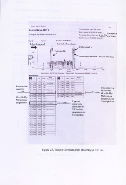 Mireille Consalvey PhD Thesis - University of St Andrews