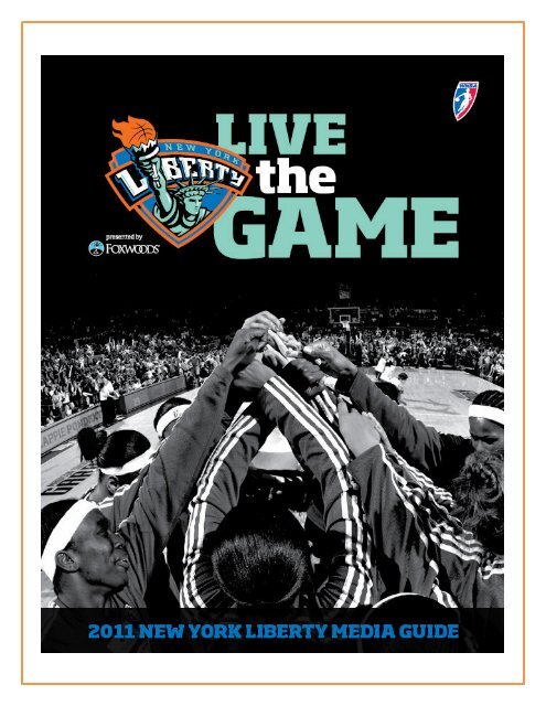 1997-2005 NEW JERSEY NETS NBA BASKETBALL 9 DEFUNCT ALTERNATE TEAM LOGO  PATCH
