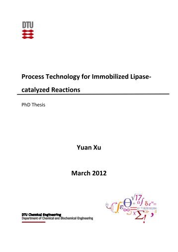 Process Technology for Immobilized Lipase- catalyzed ... - Orbit