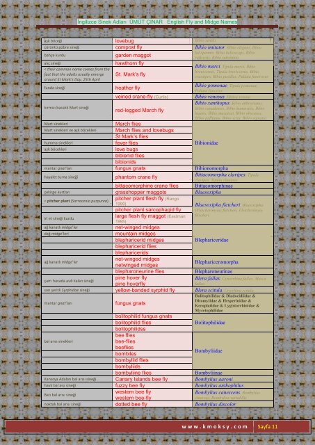 İngilizce Sinek Adları ÜMÜT ÇINAR English Fly and Midge ... - Kmoksy