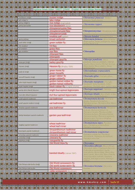 İngilizce Sinek Adları ÜMÜT ÇINAR English Fly and Midge ... - Kmoksy