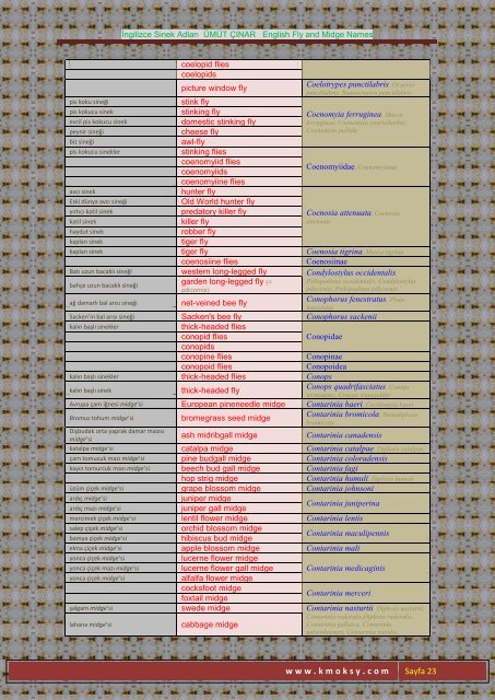 İngilizce Sinek Adları ÜMÜT ÇINAR English Fly and Midge ... - Kmoksy