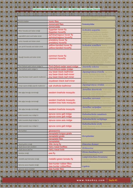 İngilizce Sinek Adları ÜMÜT ÇINAR English Fly and Midge ... - Kmoksy