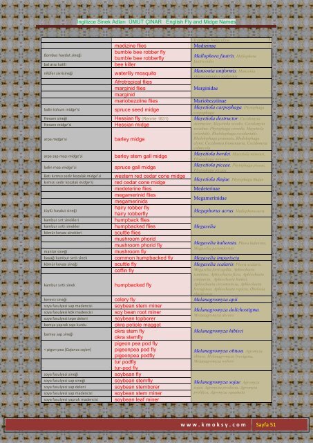 İngilizce Sinek Adları ÜMÜT ÇINAR English Fly and Midge ... - Kmoksy