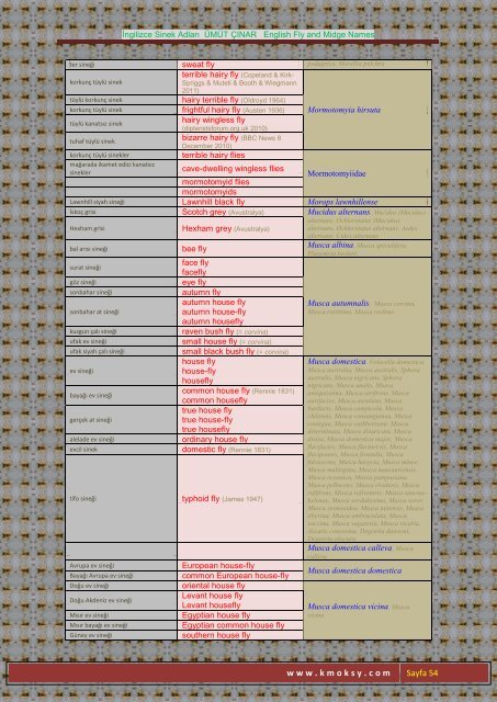 İngilizce Sinek Adları ÜMÜT ÇINAR English Fly and Midge ... - Kmoksy