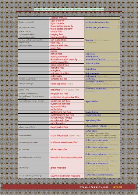 İngilizce Sinek Adları ÜMÜT ÇINAR English Fly and Midge ... - Kmoksy