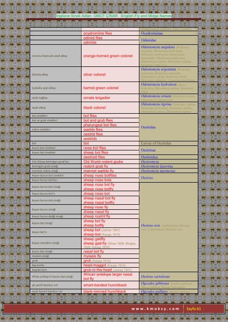 İngilizce Sinek Adları ÜMÜT ÇINAR English Fly and Midge ... - Kmoksy