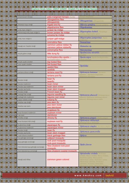 İngilizce Sinek Adları ÜMÜT ÇINAR English Fly and Midge ... - Kmoksy
