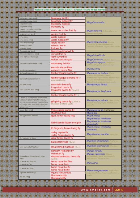 İngilizce Sinek Adları ÜMÜT ÇINAR English Fly and Midge ... - Kmoksy