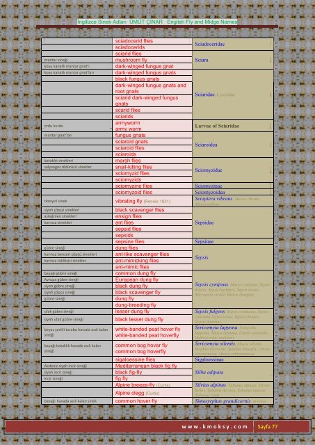 İngilizce Sinek Adları ÜMÜT ÇINAR English Fly and Midge ... - Kmoksy
