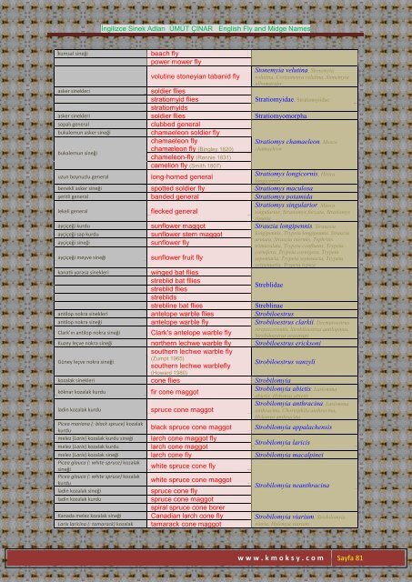 İngilizce Sinek Adları ÜMÜT ÇINAR English Fly and Midge ... - Kmoksy