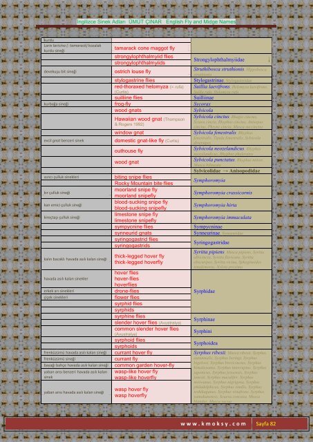 İngilizce Sinek Adları ÜMÜT ÇINAR English Fly and Midge ... - Kmoksy