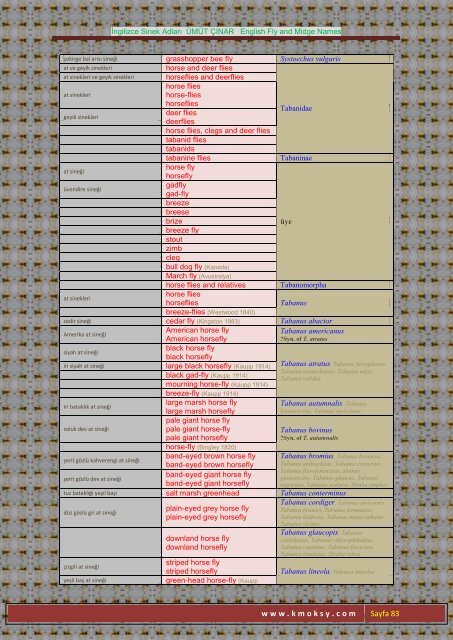İngilizce Sinek Adları ÜMÜT ÇINAR English Fly and Midge ... - Kmoksy