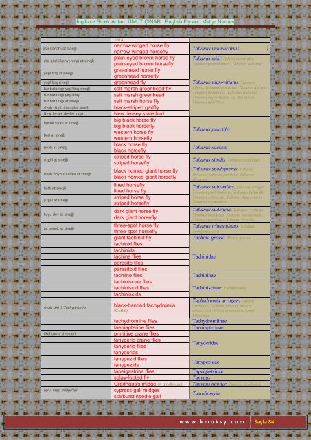 İngilizce Sinek Adları ÜMÜT ÇINAR English Fly and Midge ... - Kmoksy