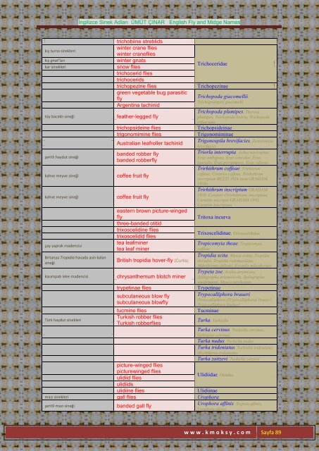 İngilizce Sinek Adları ÜMÜT ÇINAR English Fly and Midge ... - Kmoksy