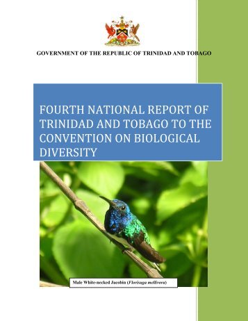 CBD Fourth National Report - Trinidad and Tobago - Convention on ...